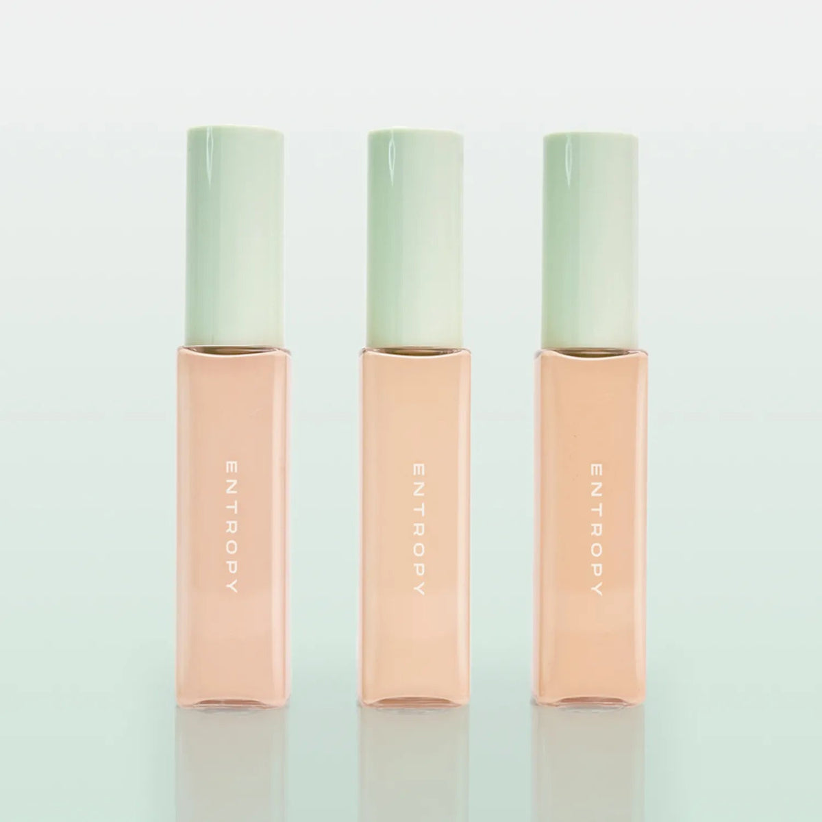 ENTROPY Organza Fit Spatula Foundation 40g