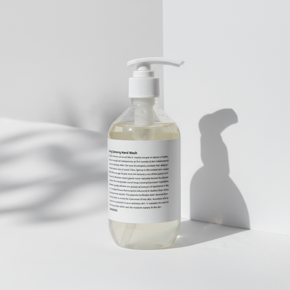 CHAHONG Snug Calming Hand Wash 300ml